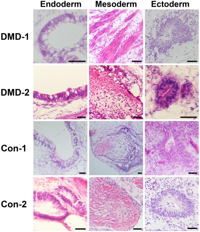 Fig 3