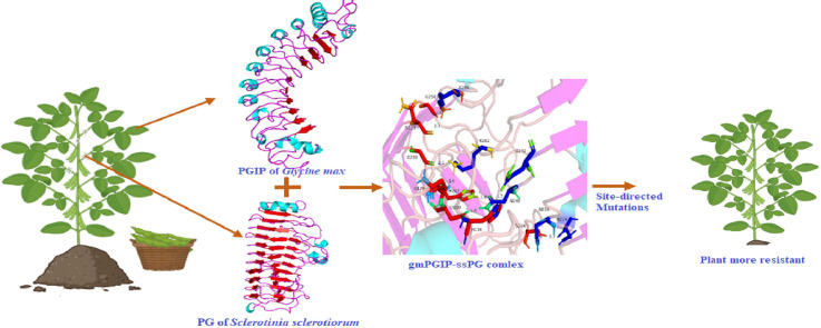 Image, graphical abstract