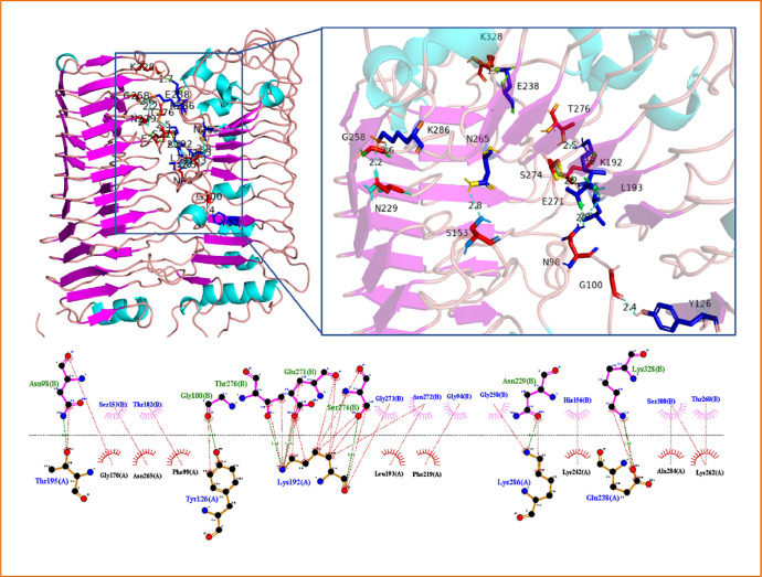 Fig 6