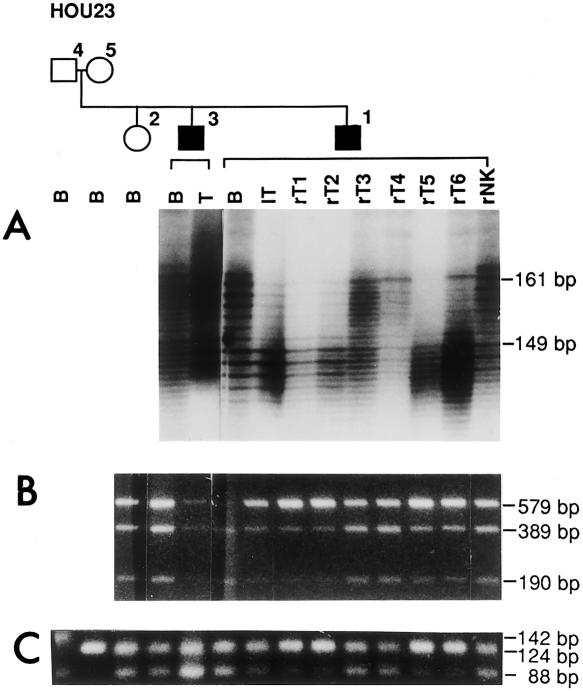 Figure  1