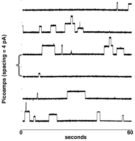 Fig. 8