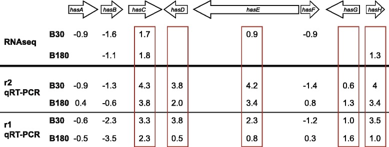 Fig. 5