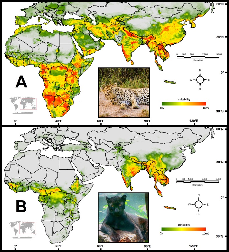 Fig 3