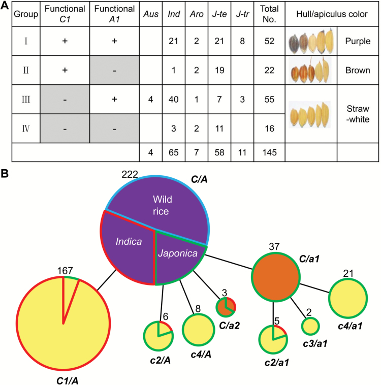 Fig. 7.