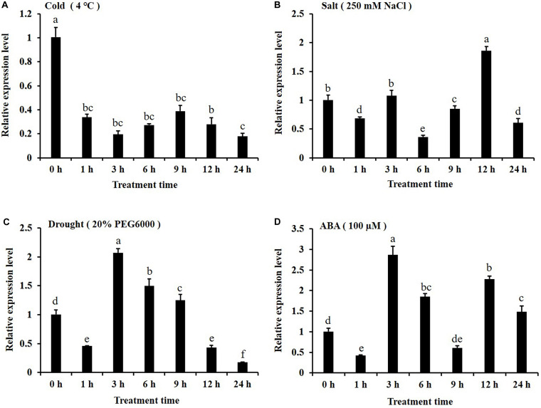 FIGURE 4