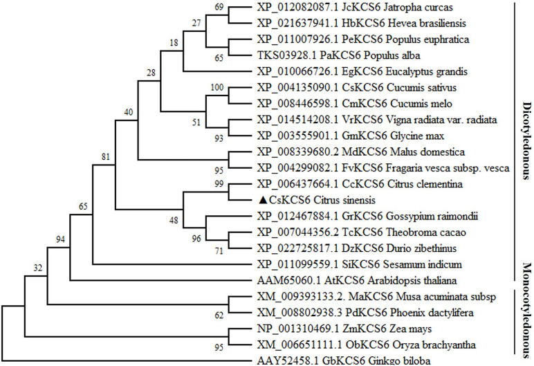 FIGURE 2