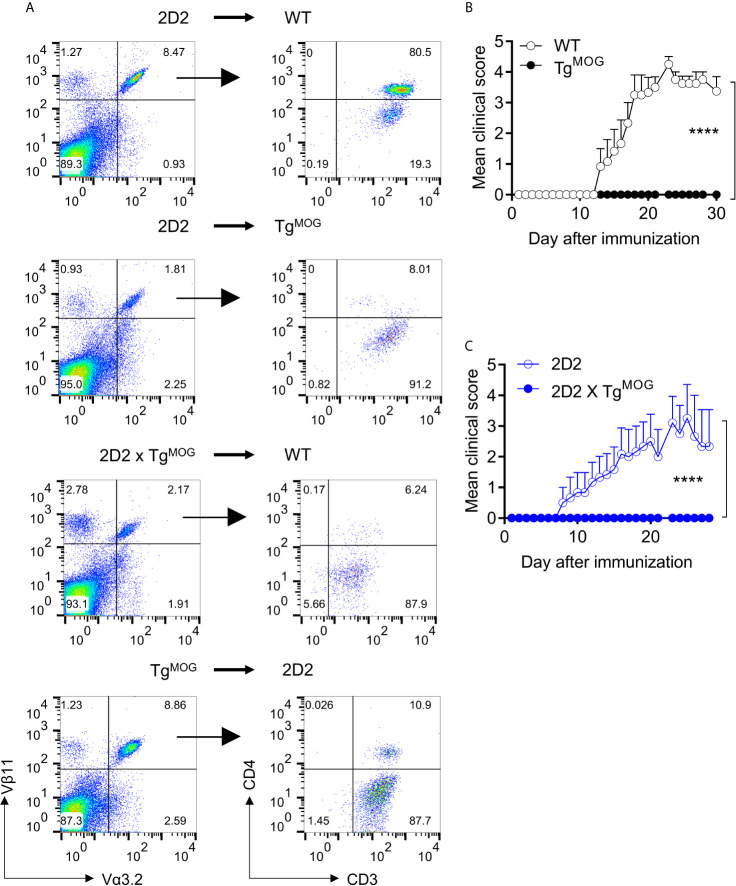 Figure 6