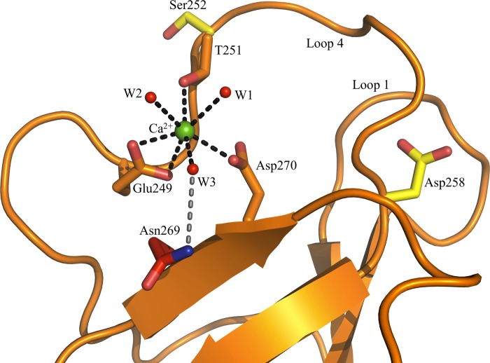 FIGURE 4.