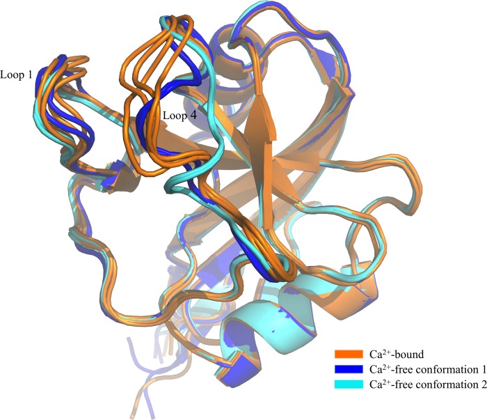 FIGURE 2.