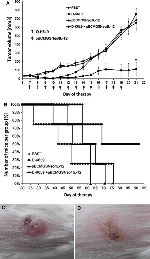 Fig. 6