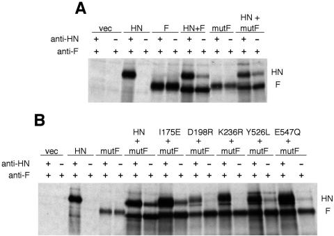 FIG. 8.