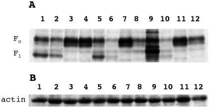 FIG. 11.