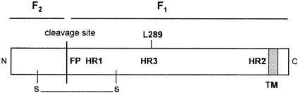 FIG. 1.