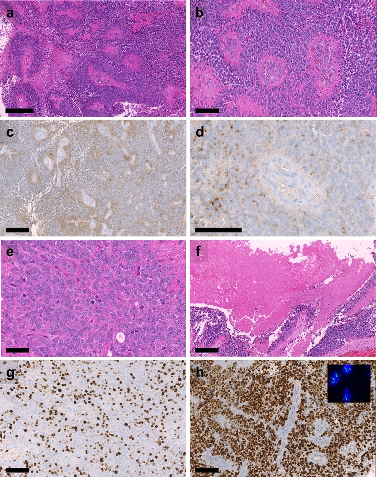 Fig. 2