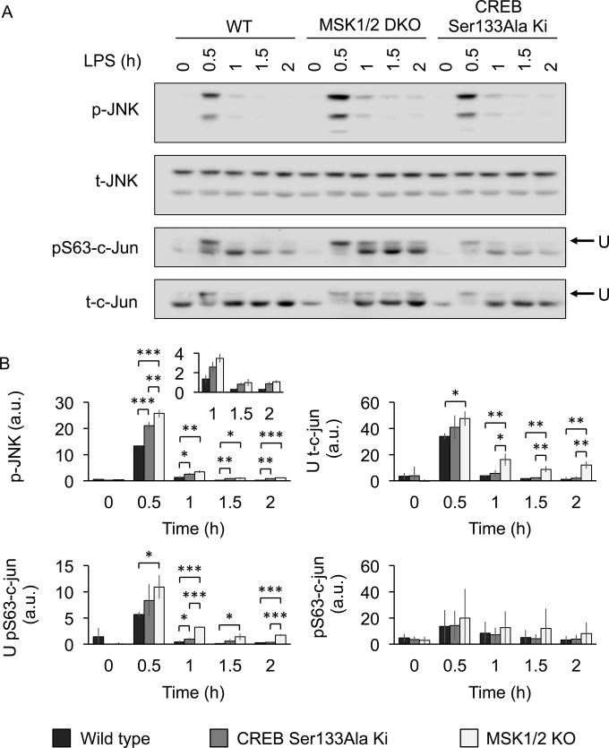 FIG 6