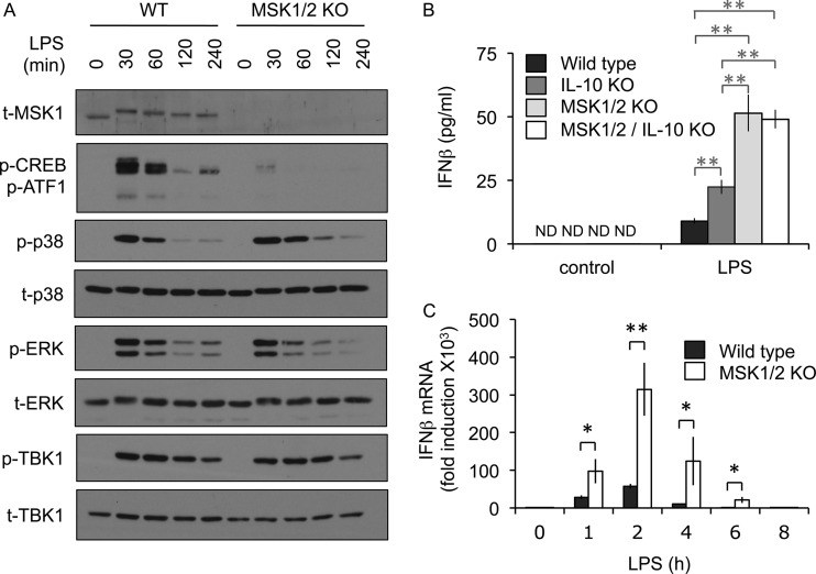 FIG 2