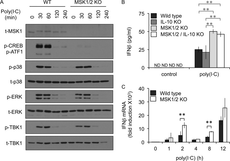 FIG 3