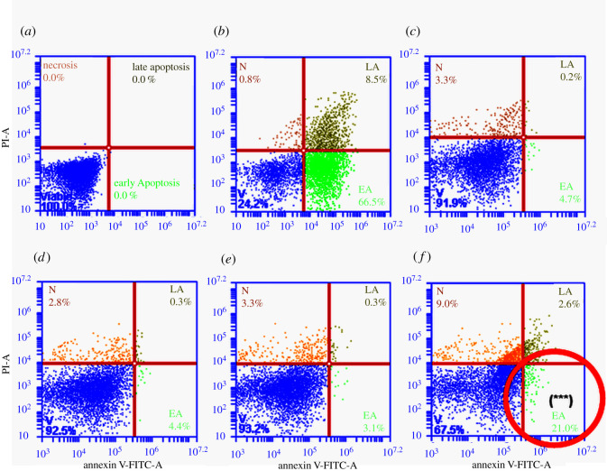 Figure 10. 