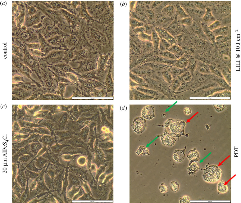 Figure 5. 