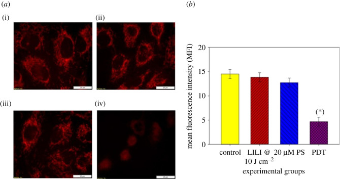 Figure 9. 