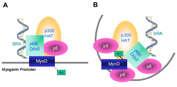 Fig. 8.