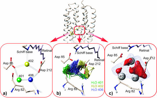 FIGURE 4