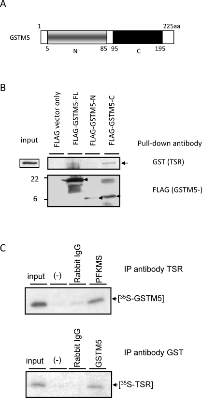 FIG. 7.