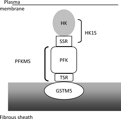 FIG. 10.