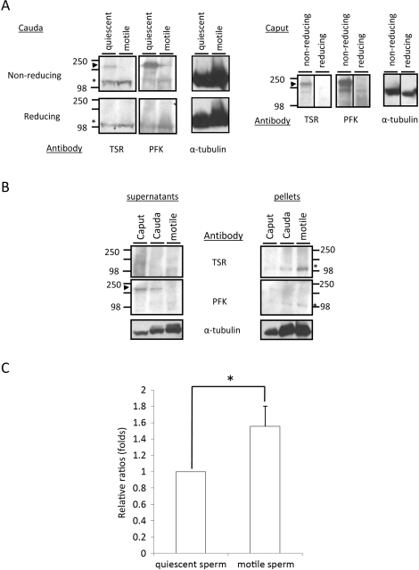 FIG. 9.