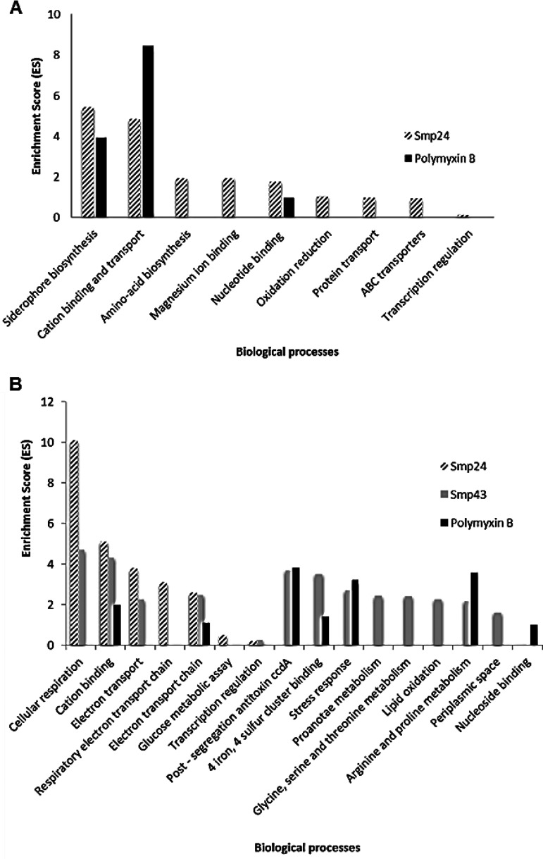 FIG 2