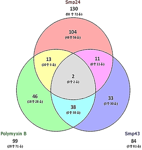 FIG 1