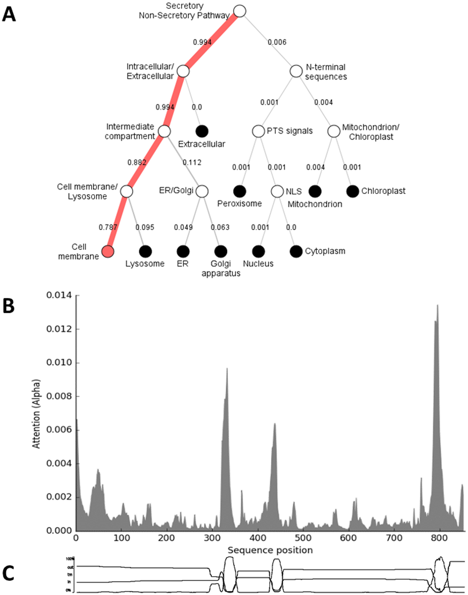 Figure 4: