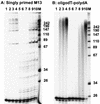 FIG. 6