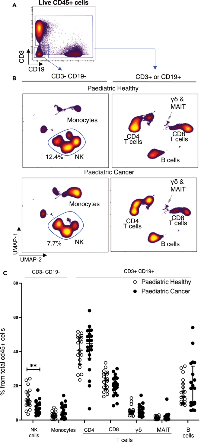 Figure 1