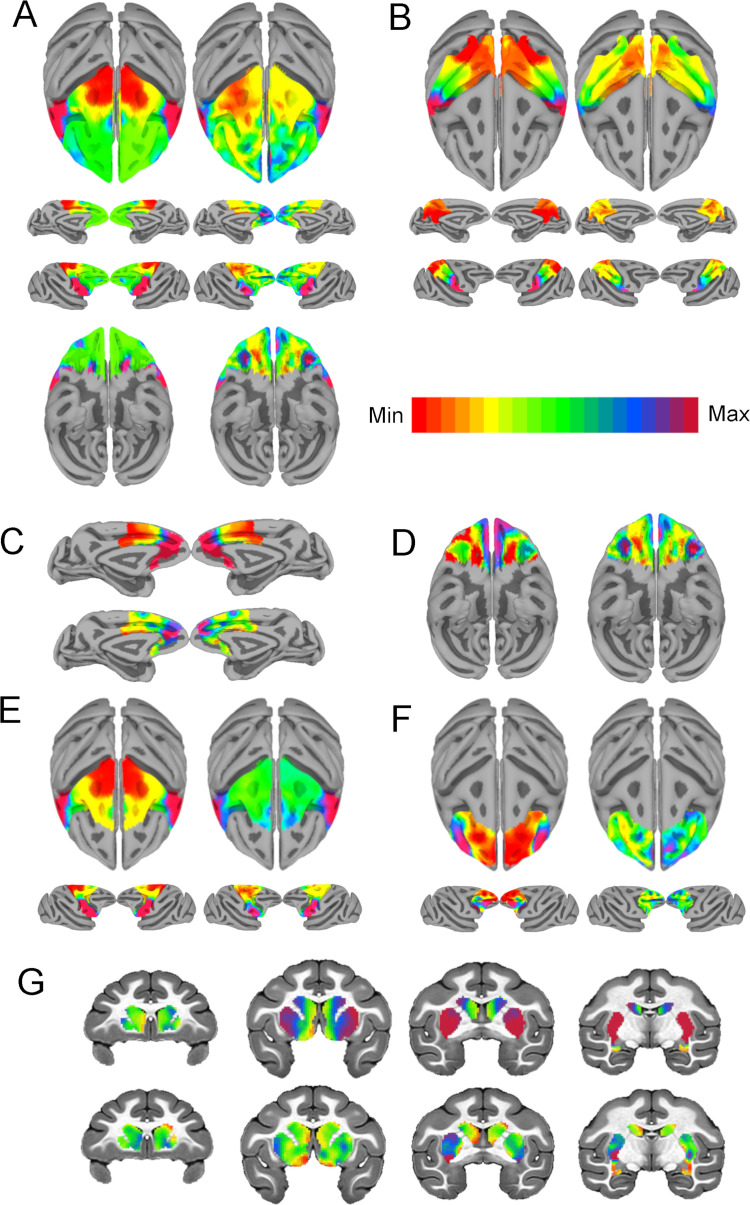 Figure 4—figure supplement 2.