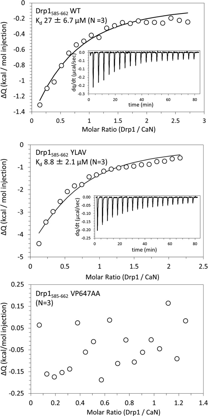 FIGURE 3.