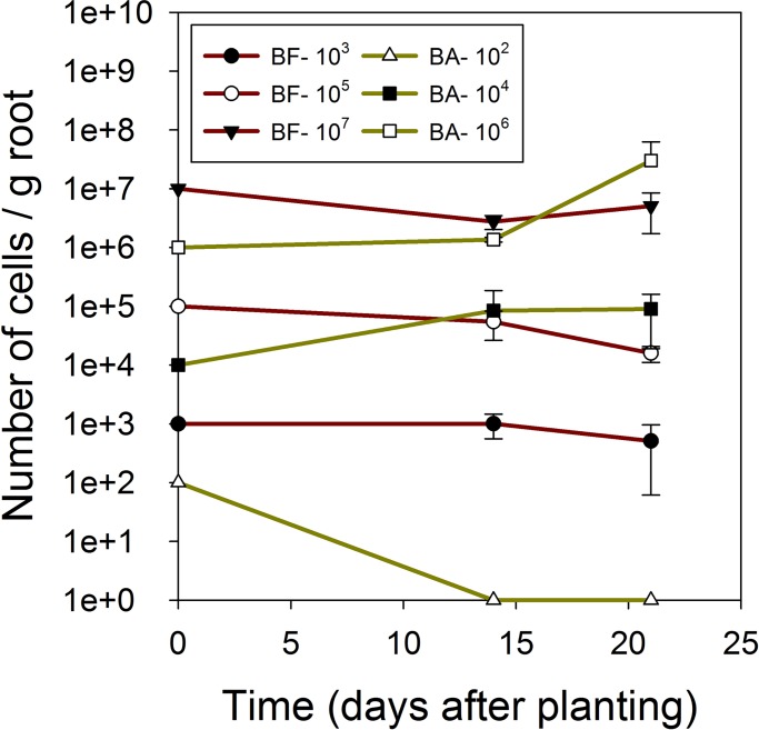 Fig 2