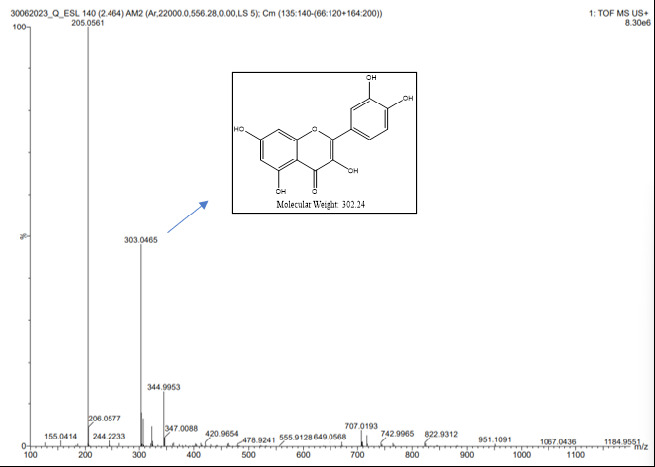 Figure 13