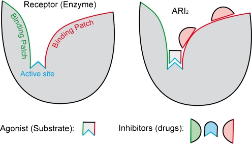 Fig. 2