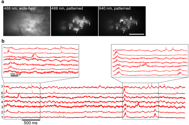 Extended Data Fig. 7.