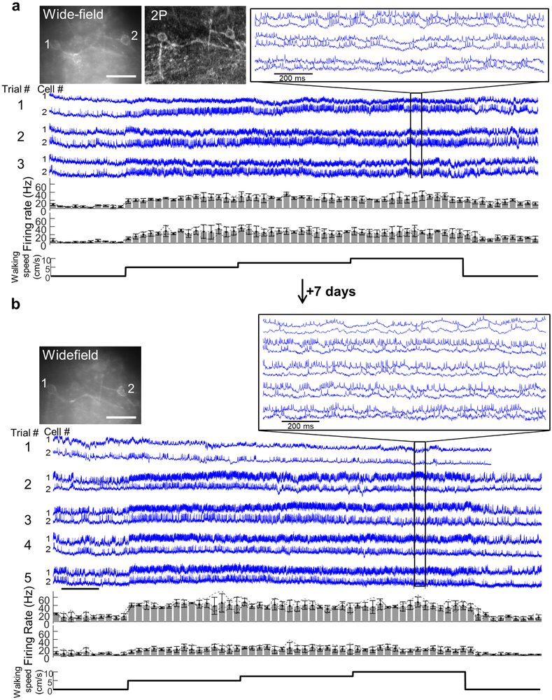 Extended Data Fig. 8.