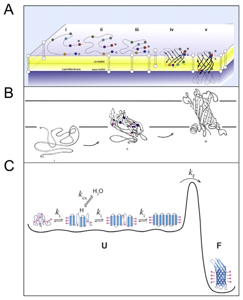 Fig. 13