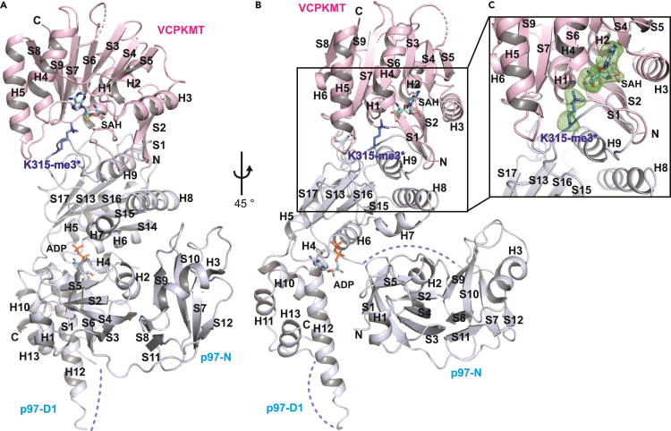 Figure 2