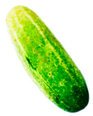 graphic file with name foods-13-02916-i008.jpg