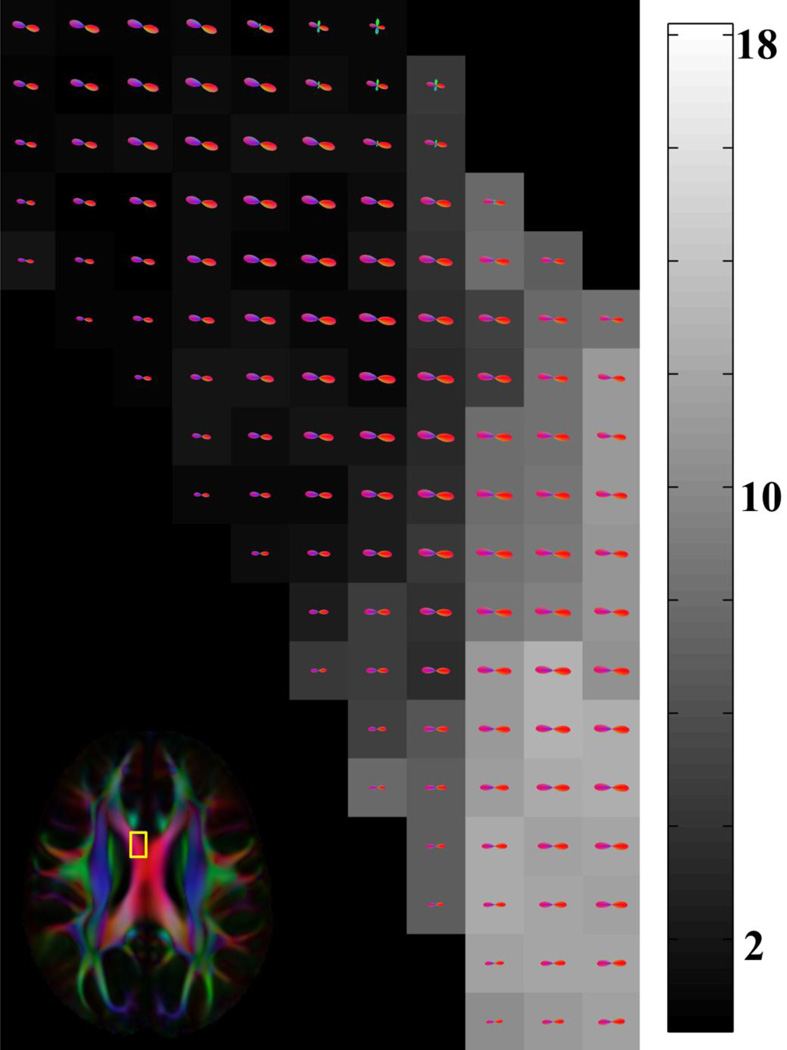 Figure 13