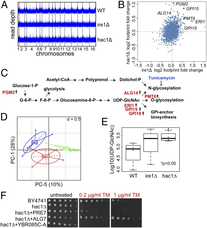 Fig. 4.