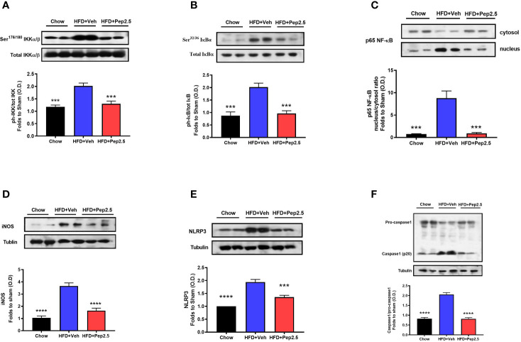 Figure 6