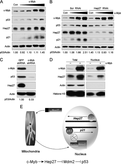 FIG. 6.