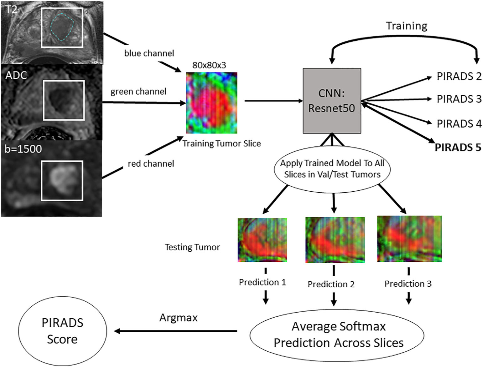 FIGURE 1: