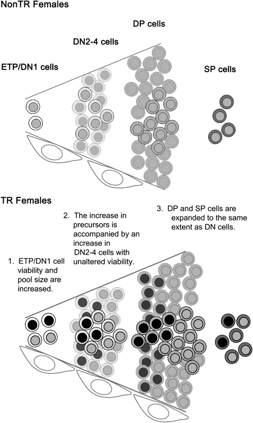 Fig. 9.